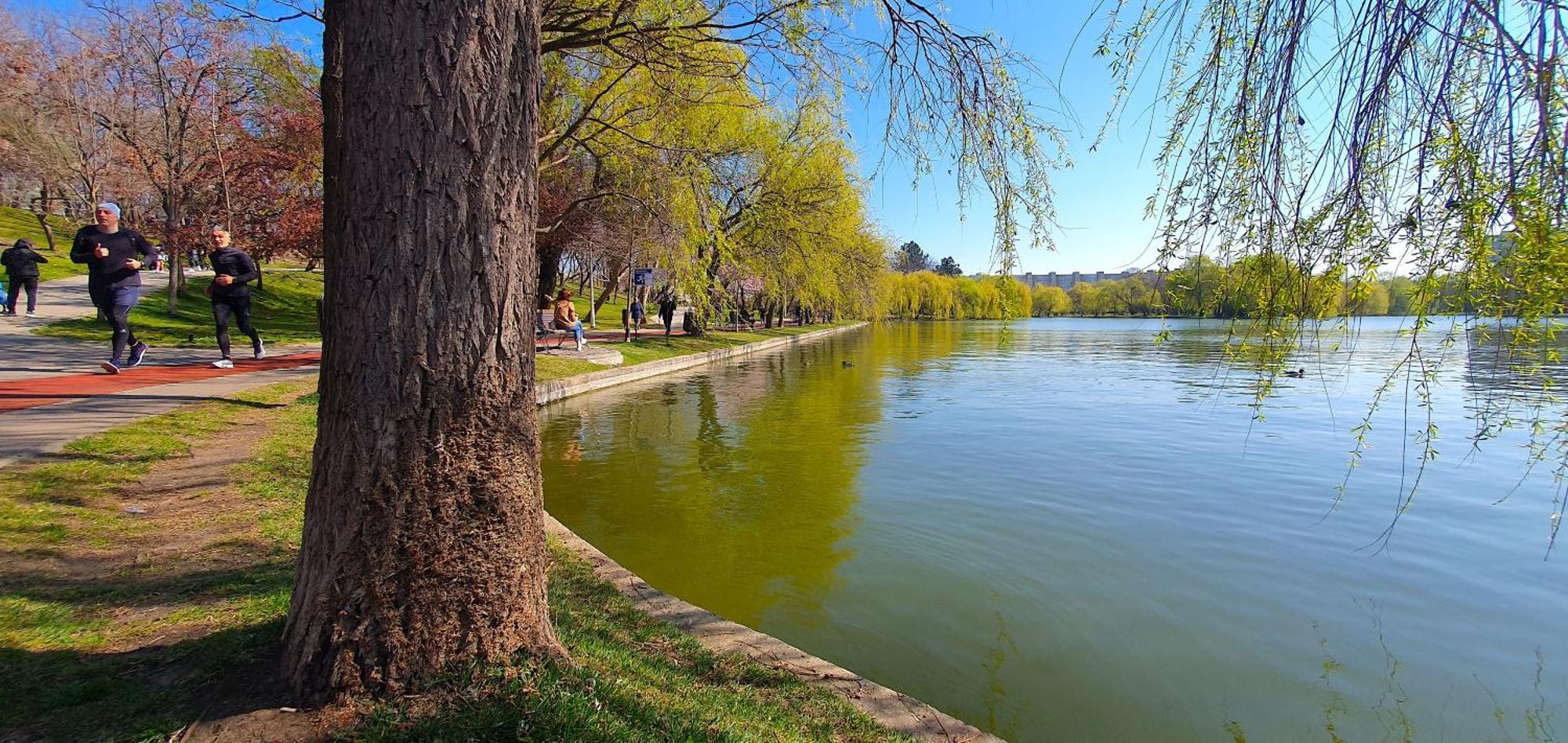 City Break Park Studio Bucarest Esterno foto
