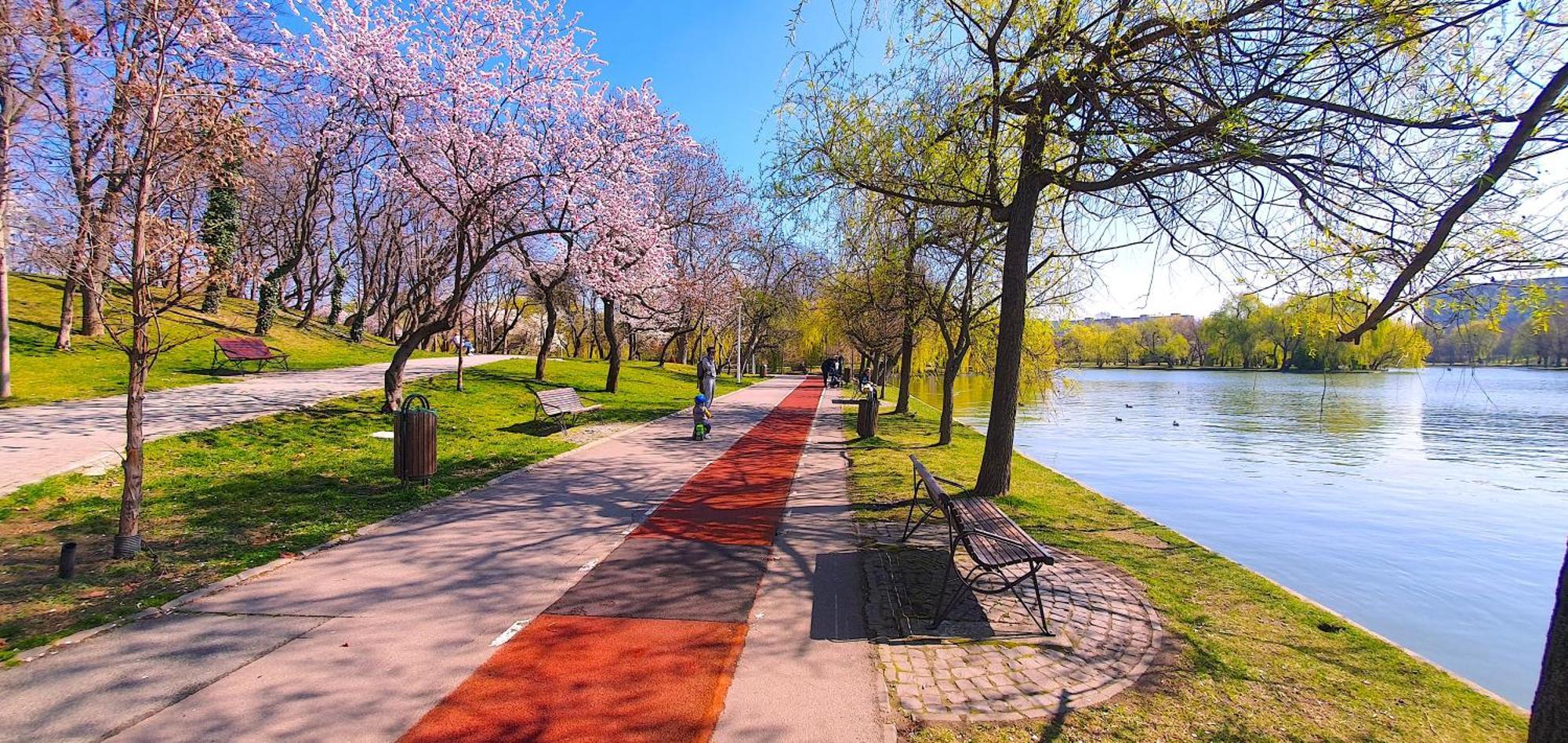 City Break Park Studio Bucarest Esterno foto