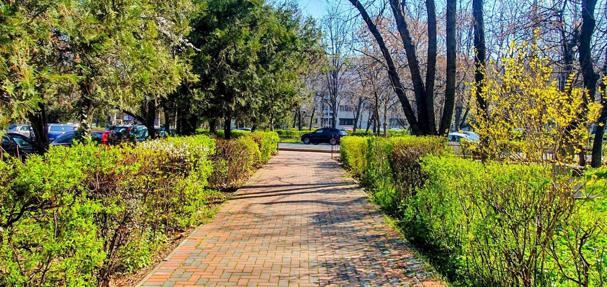 City Break Park Studio Bucarest Esterno foto